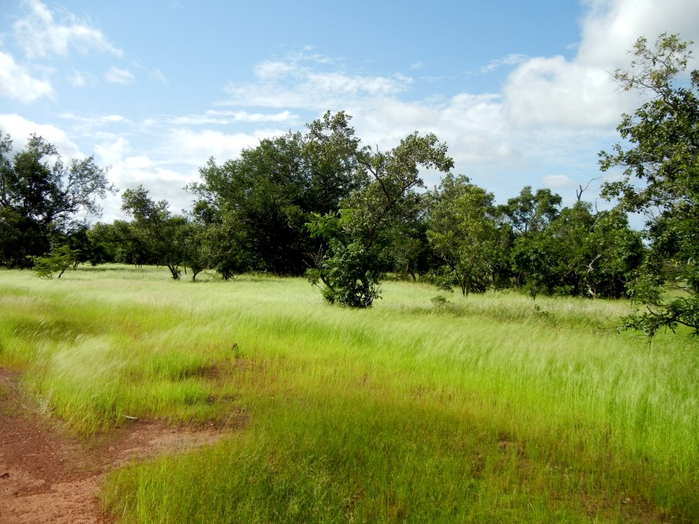 Reserva Natural Niokolo Koba 